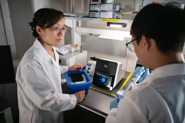 Two doctors work with cell samples in a lab.