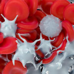 3D illustration of platelets interacting with red blood cells and a white blood cell nearyby