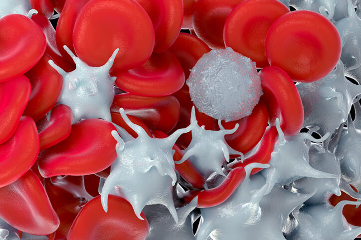 3D illustration of platelets interacting with red blood cells and a white blood cell neary by